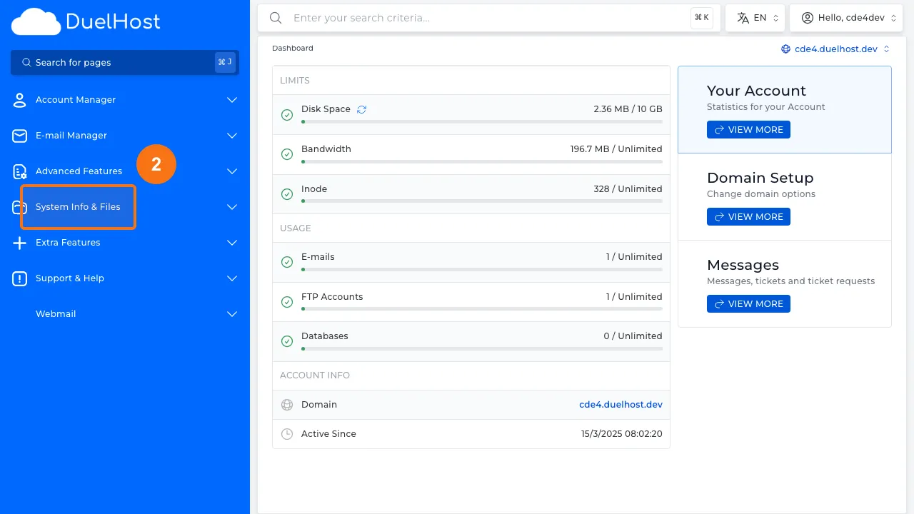 Step 2: Click "System Info & Files" in the sidebar