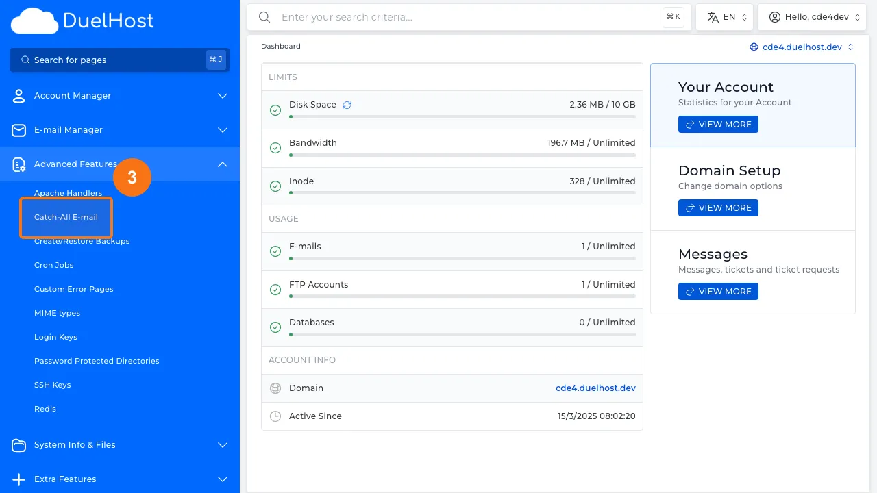 Step 3: Click "Catch-All E-mail"