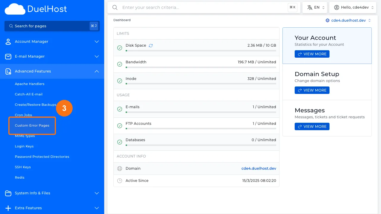 Step 3: Click "Custom Error Pages" to open error page settings