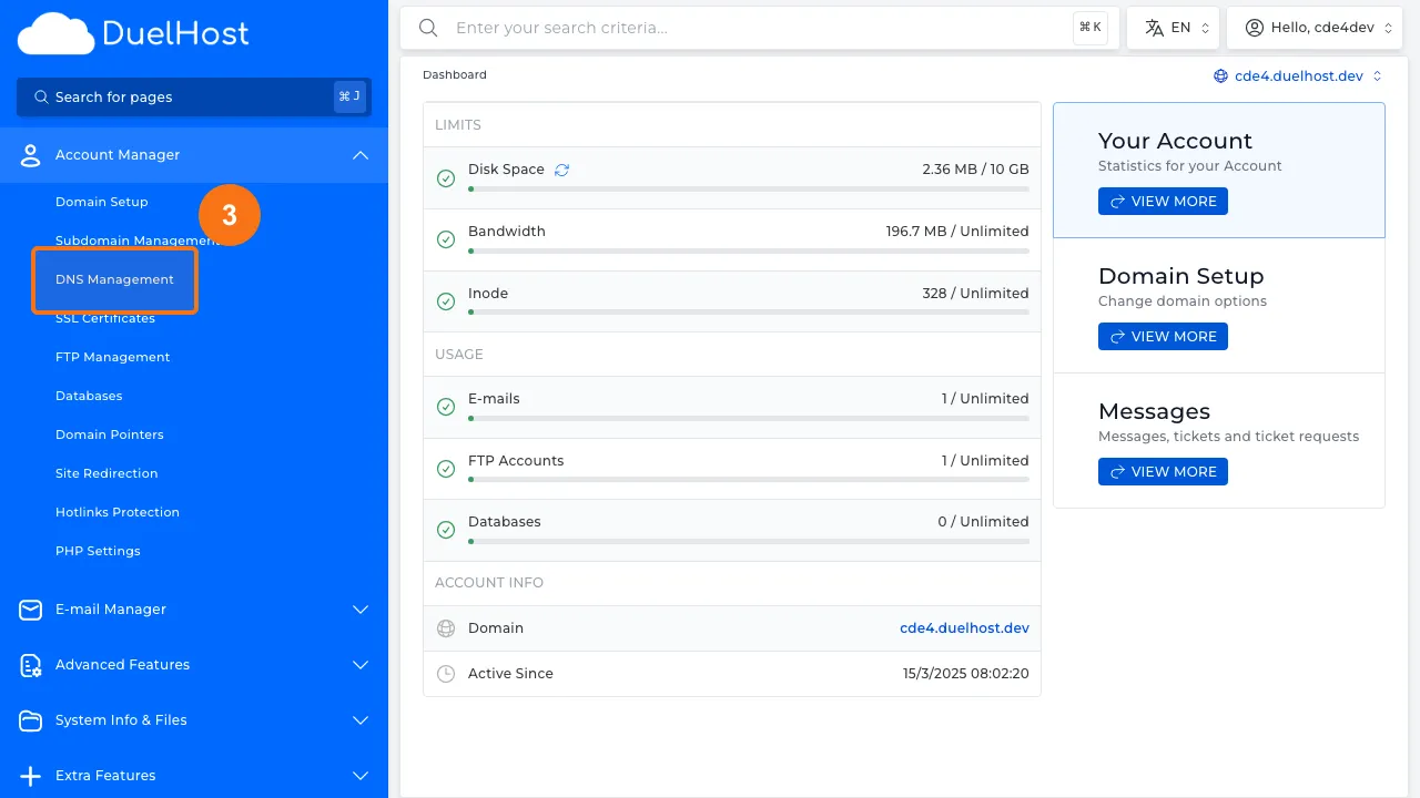Step 3: Click "DNS Management"