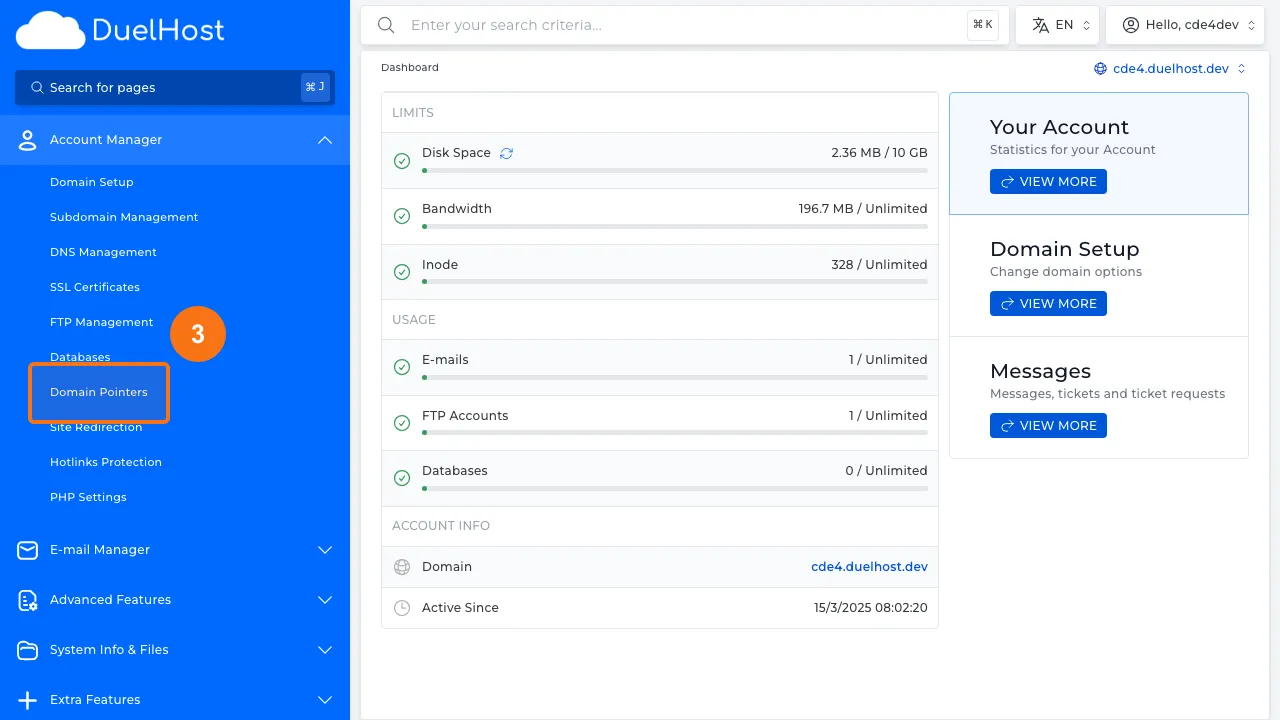 Step 3: Click "Domain Pointers" to view domain pointers
