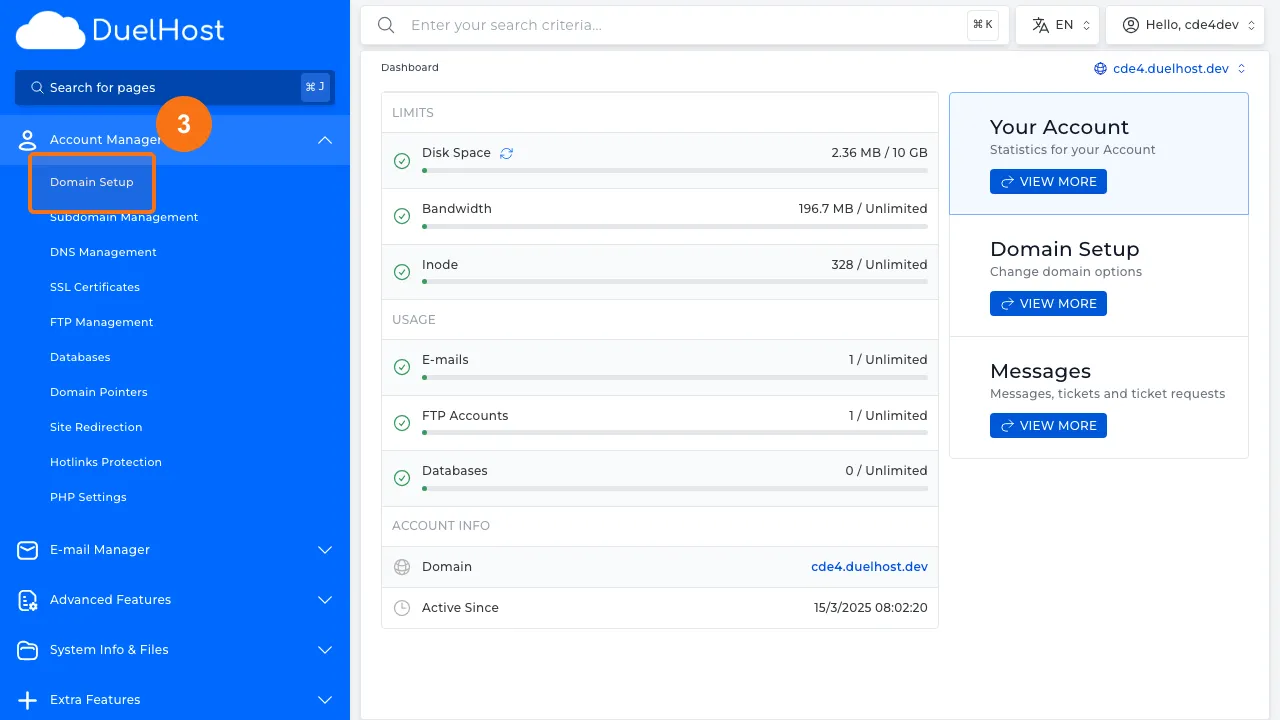 Step 3: Click "Domain Setup" to view the domain overview