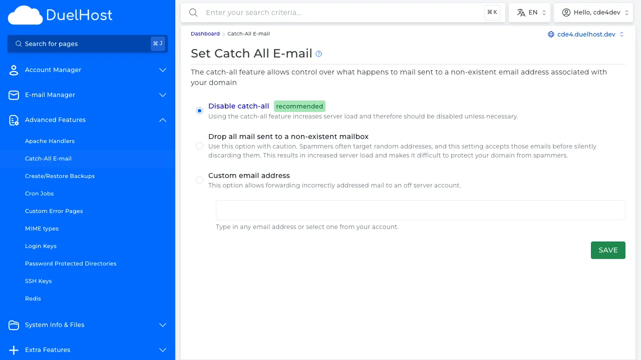 Step 4: View the catch-all settings — here you can choose what happens to emails sent to non-existent addresses