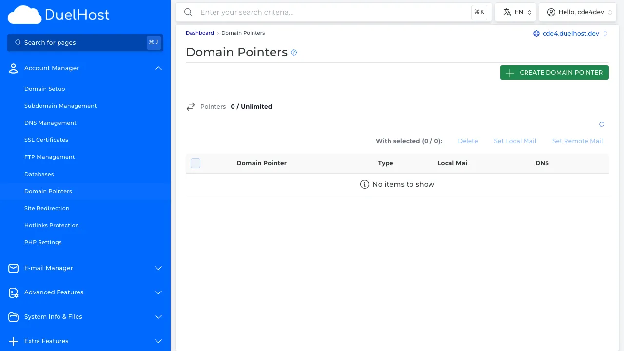 Step 4: View the domain pointer overview