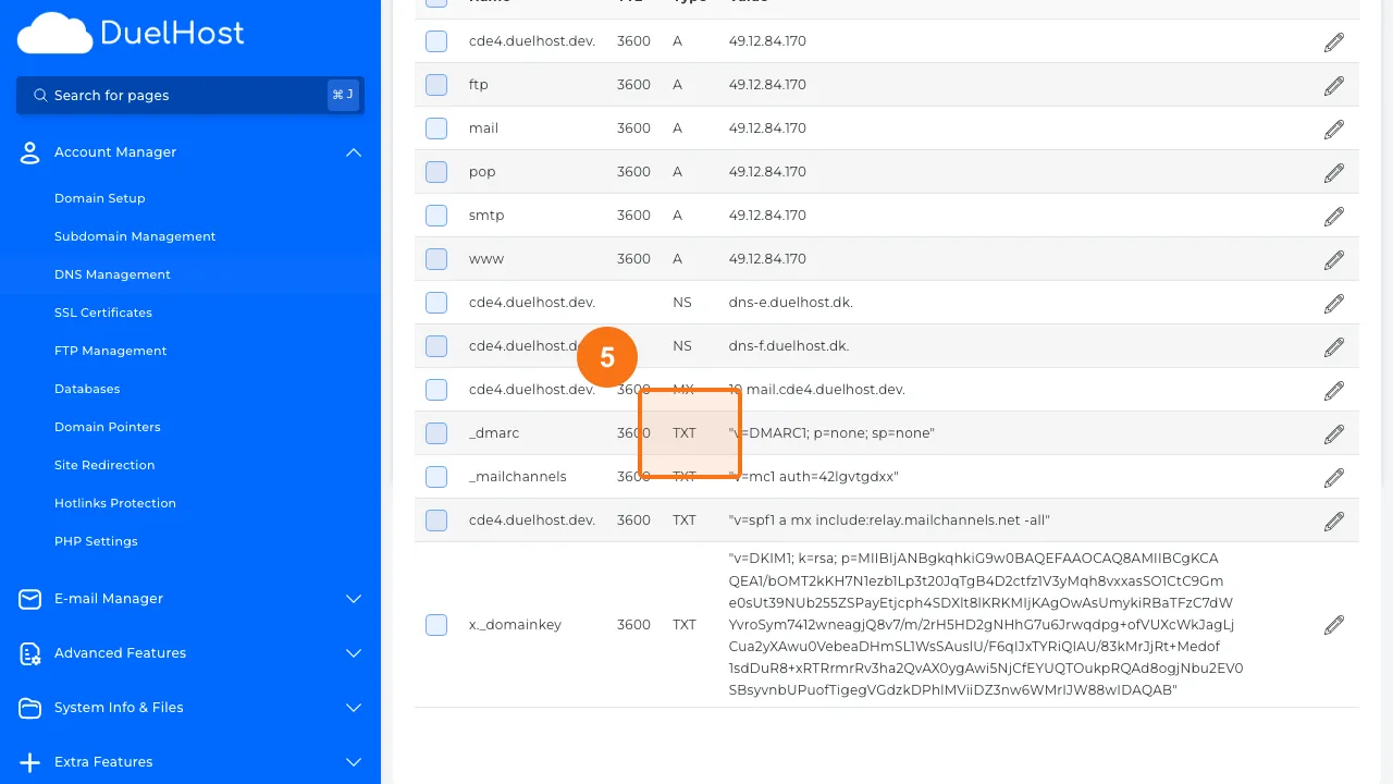 Step 5: Check TXT records for SPF (v=spf1 ...) and DMARC (_dmarc)